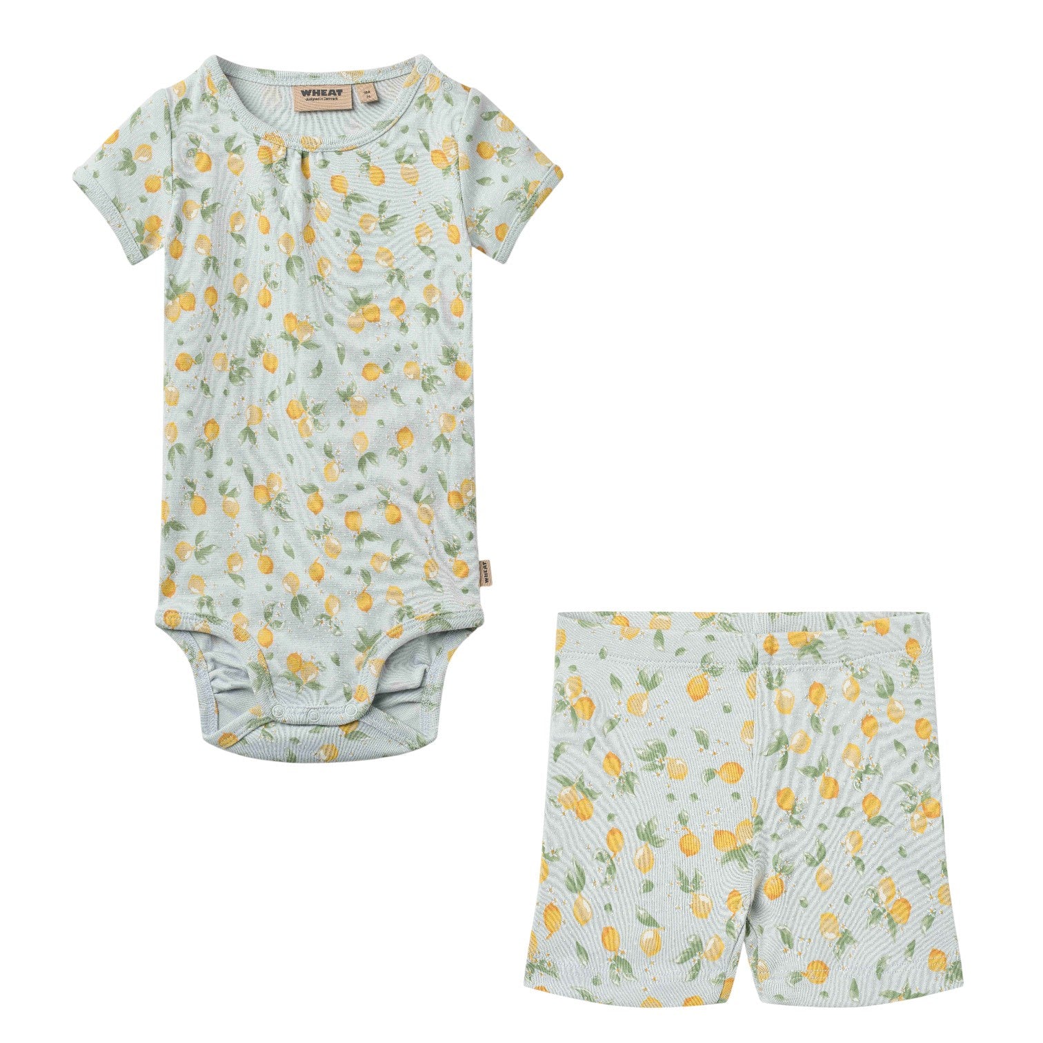 Summer Blue Citrus Set