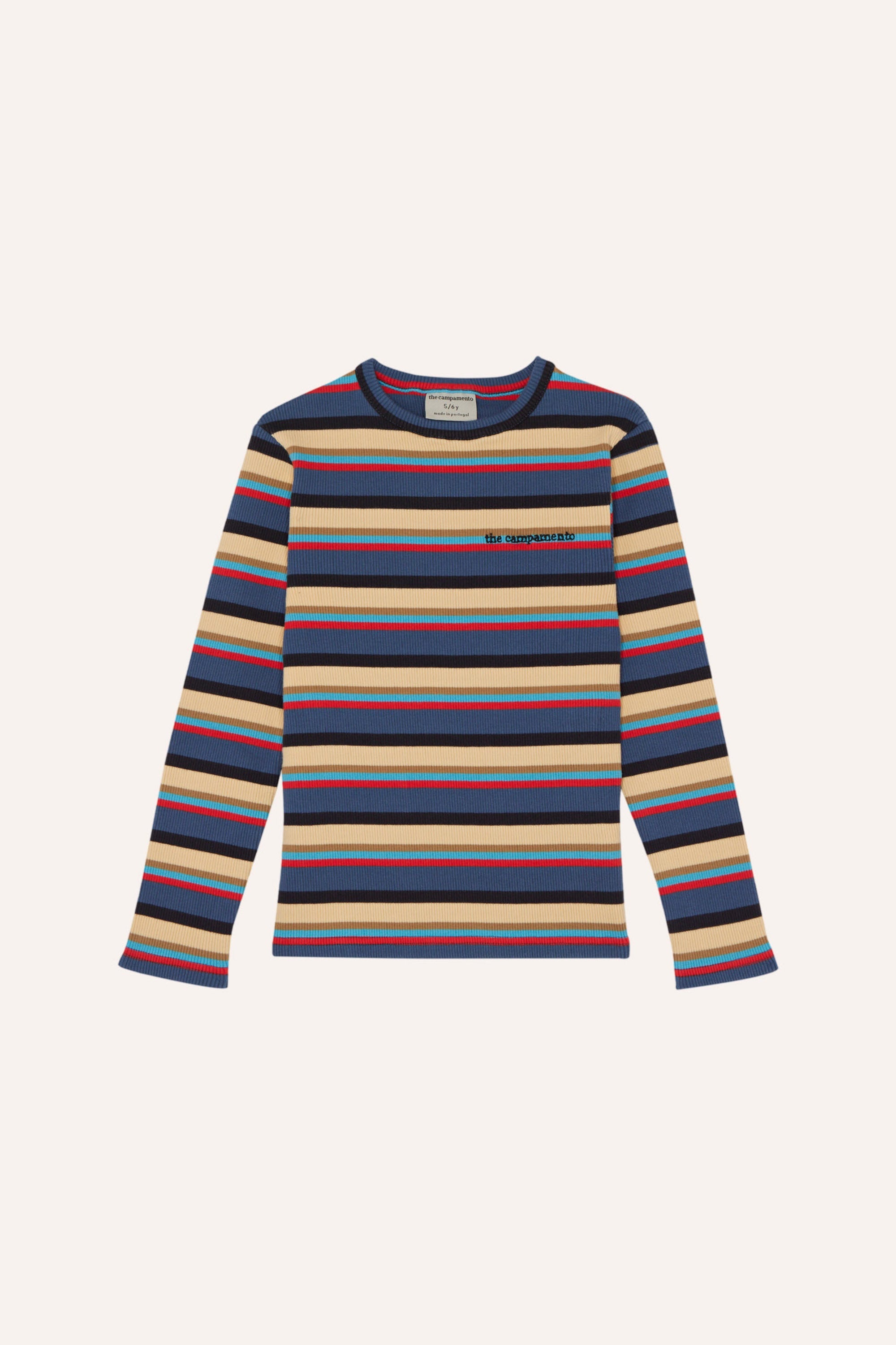 Multicolor Stripes Tshirt Blue