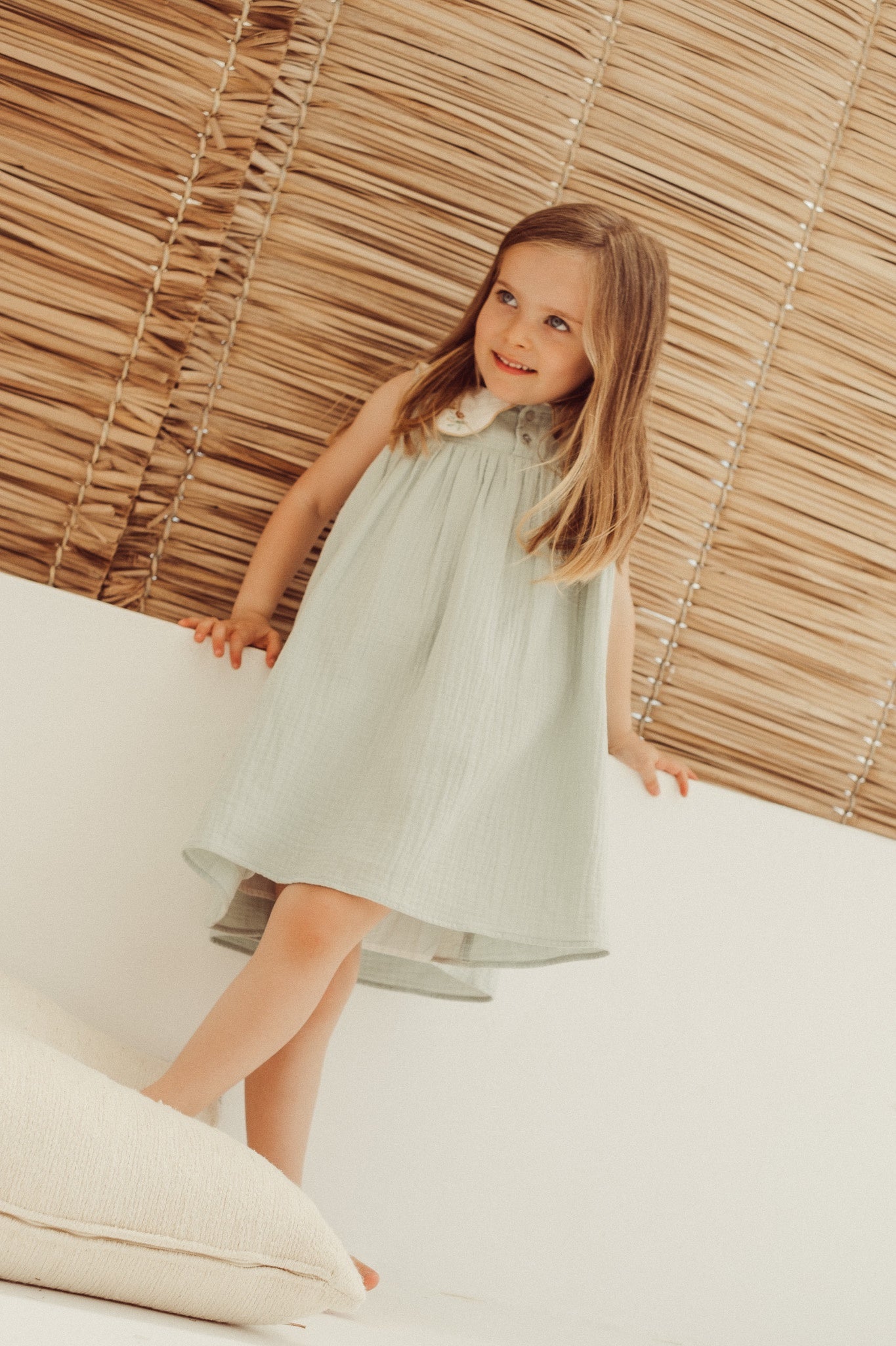 Josefa Embroidered Quartz Dress